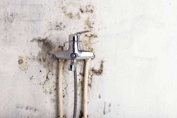 Best Water Damage Restoration  in Edison, GA