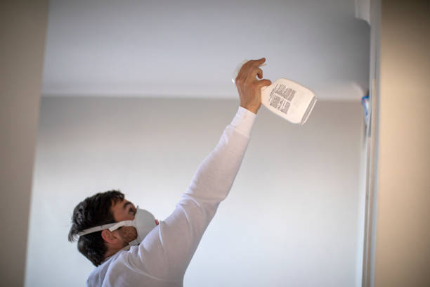 Best Mold Removal Process  in Edison, GA