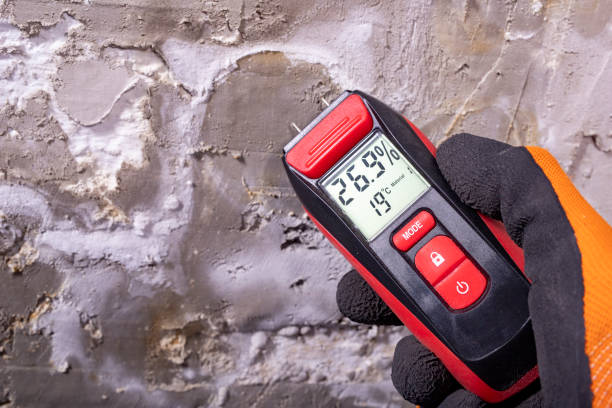 Best Local Mold Removal Service  in Edison, GA