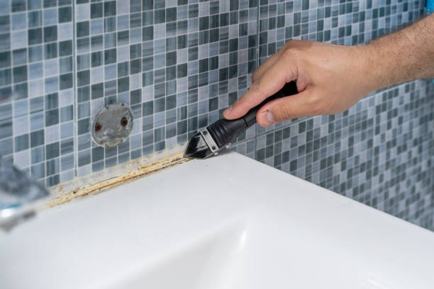 Best Mold Damage Repair  in Edison, GA